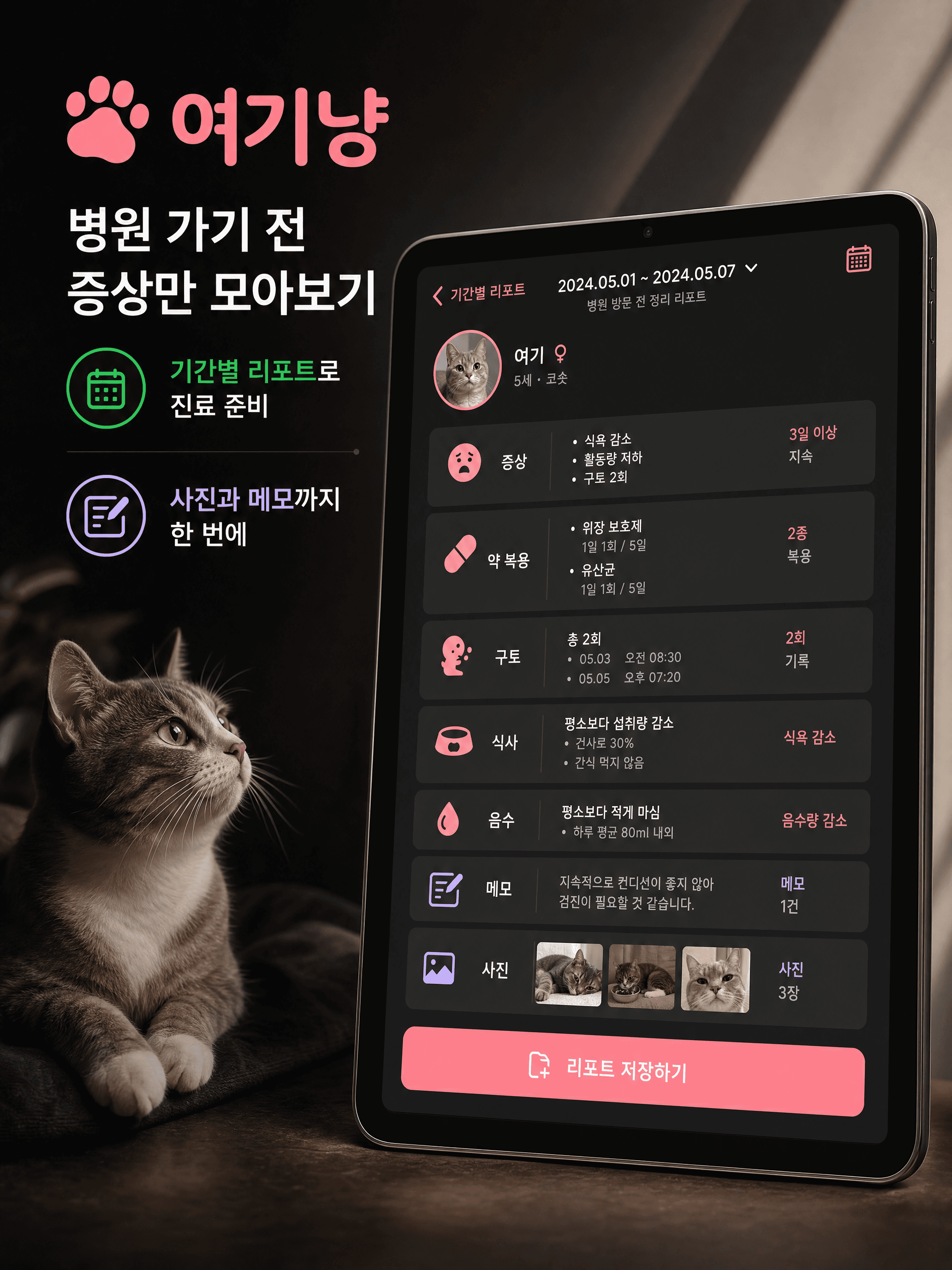 여기냥 iPad 리포트 화면