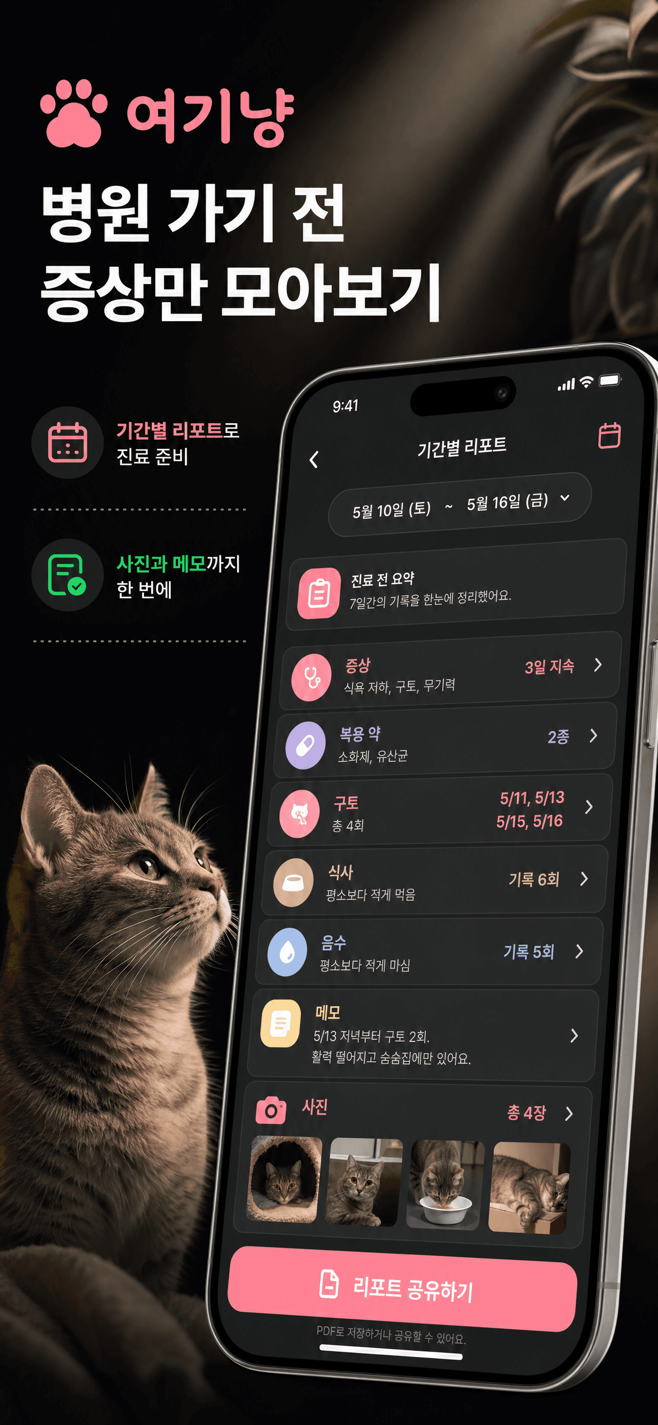 여기냥 병원 리포트 화면