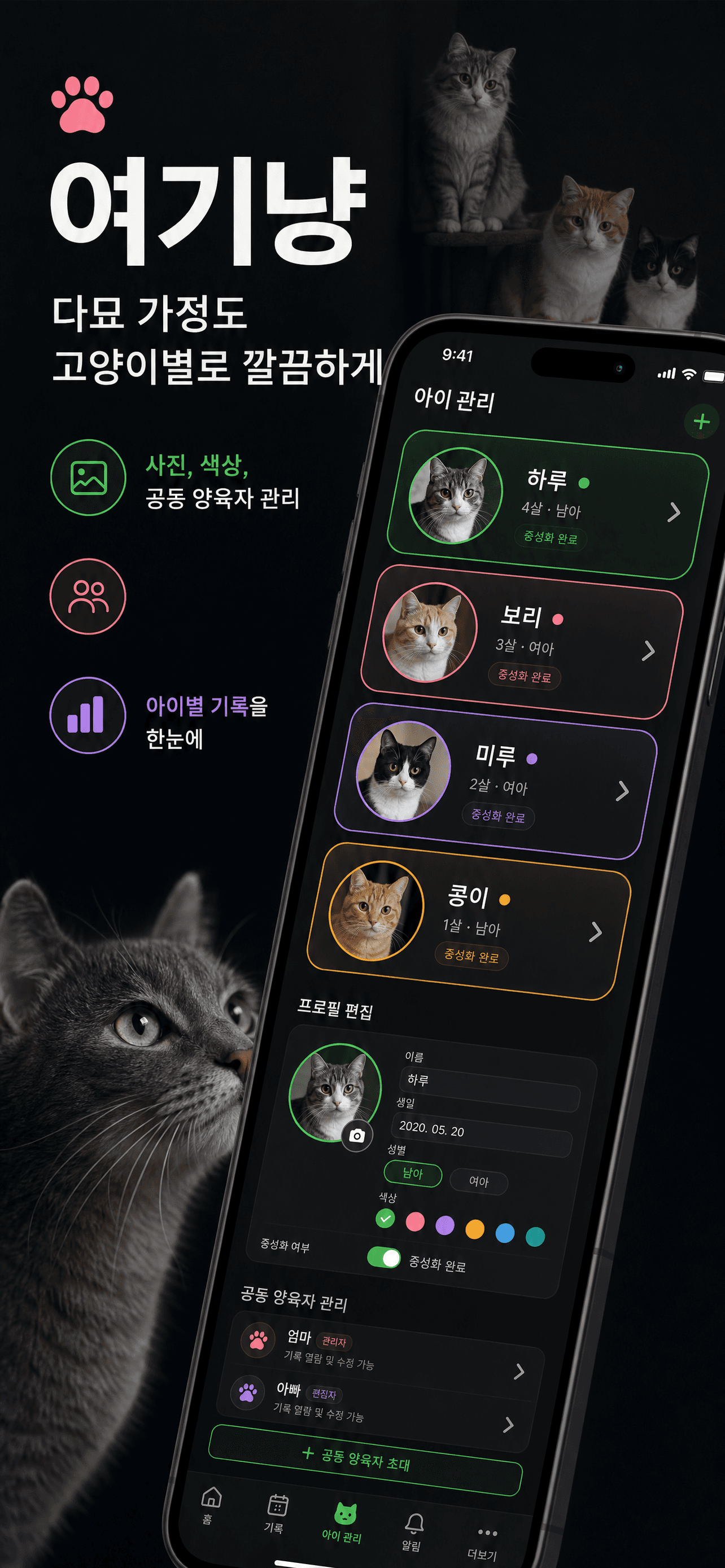 여기냥 다묘 프로필 화면