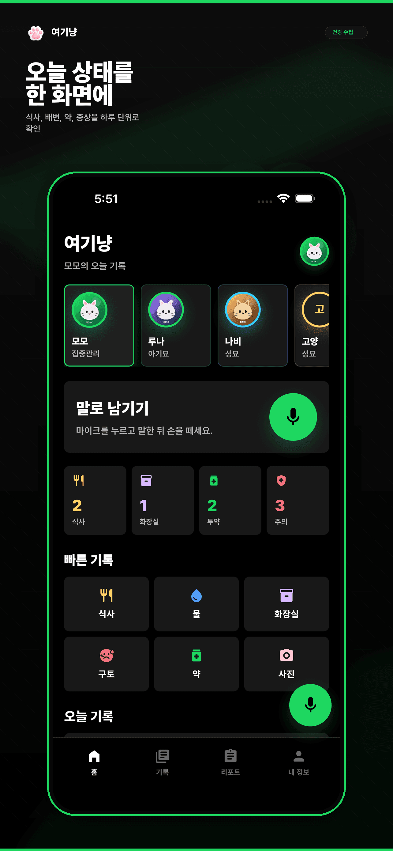 여기냥 오늘 기록 화면