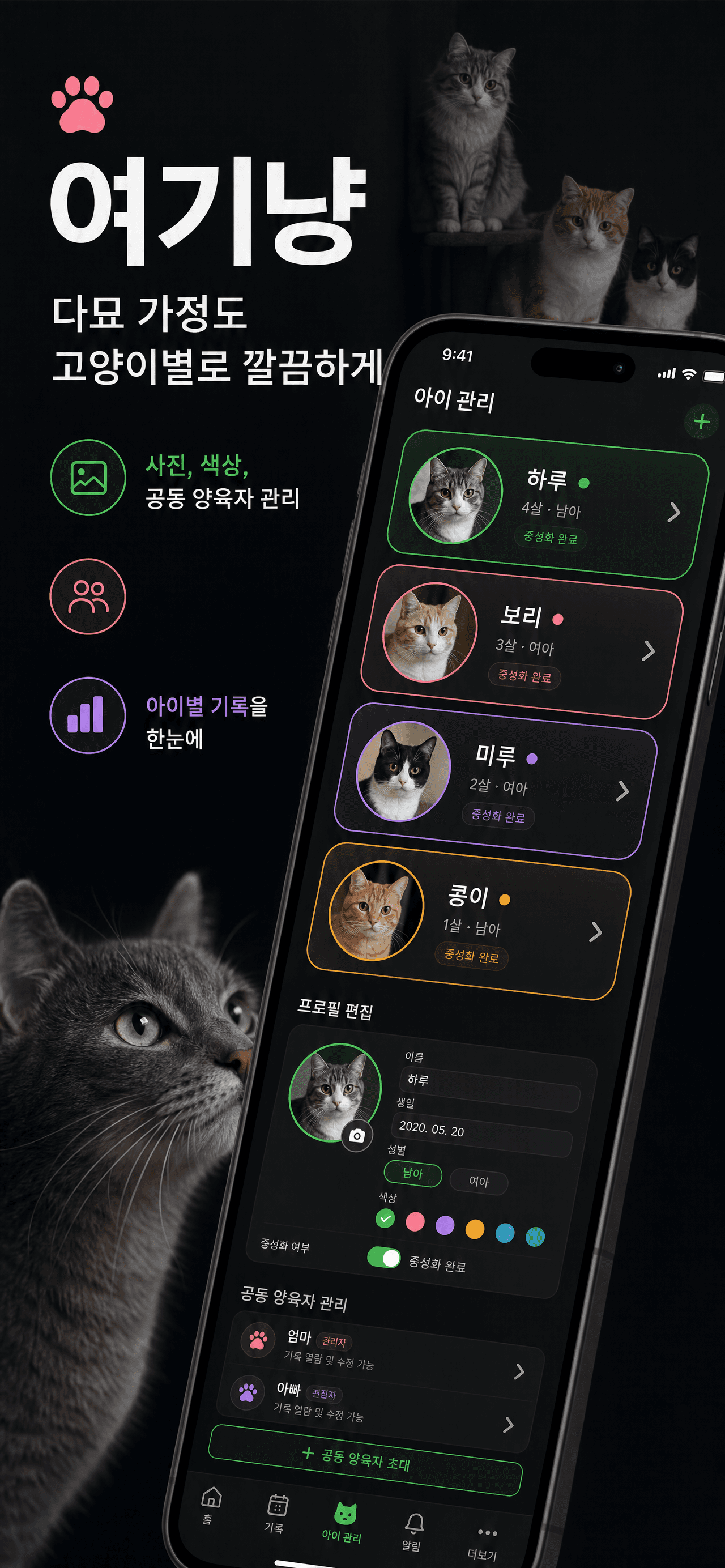 다묘 케어 홍보 이미지